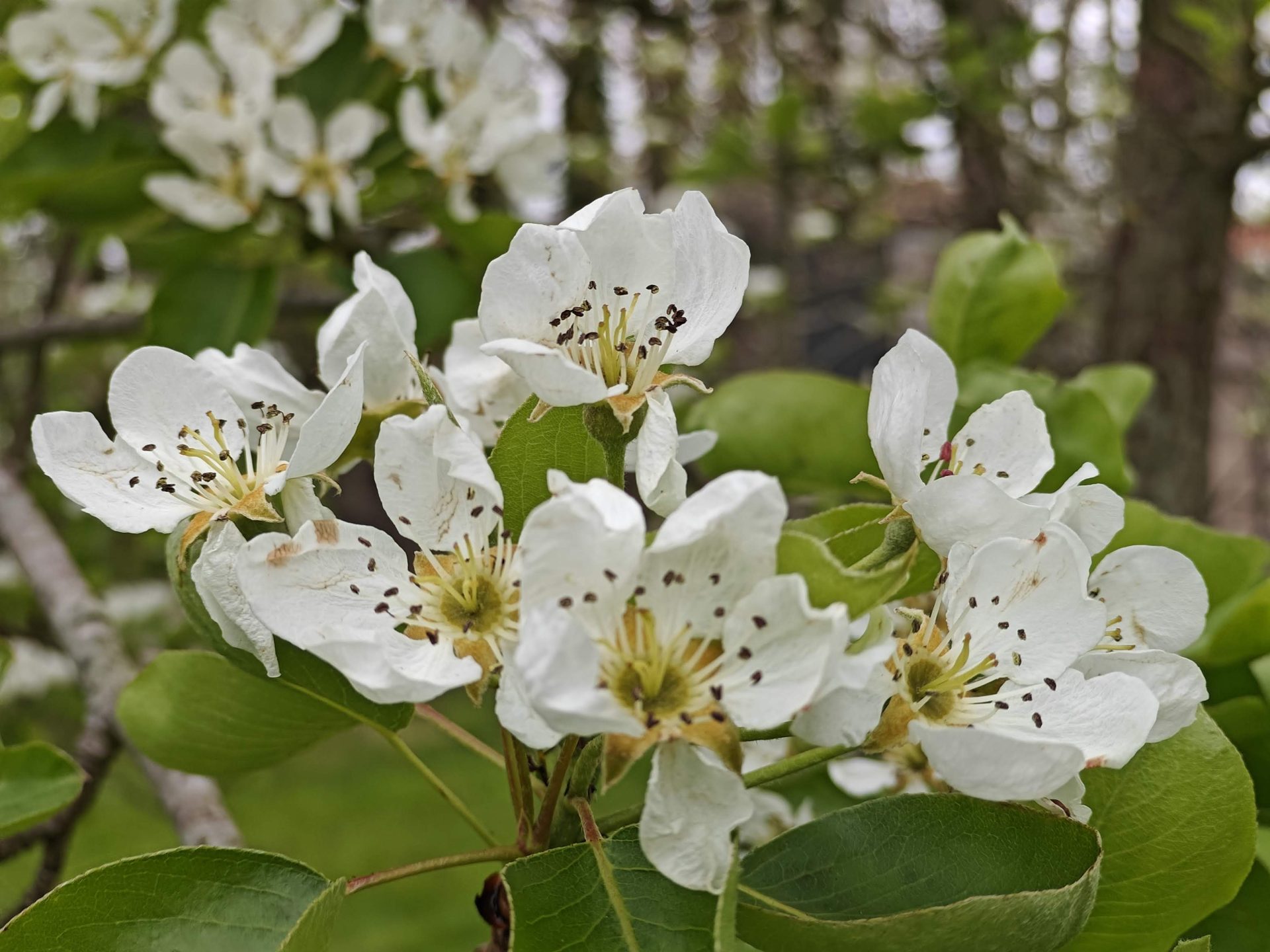 Oproep: deel je tuingeluk!